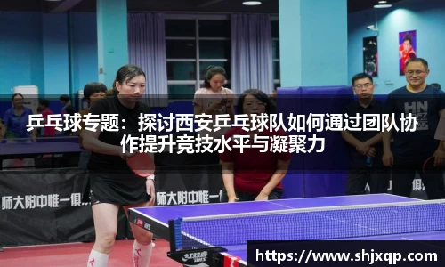 乒乓球专题：探讨西安乒乓球队如何通过团队协作提升竞技水平与凝聚力