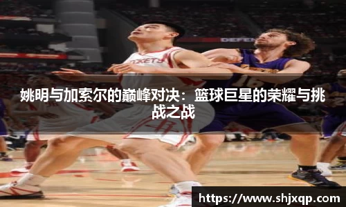 姚明与加索尔的巅峰对决：篮球巨星的荣耀与挑战之战