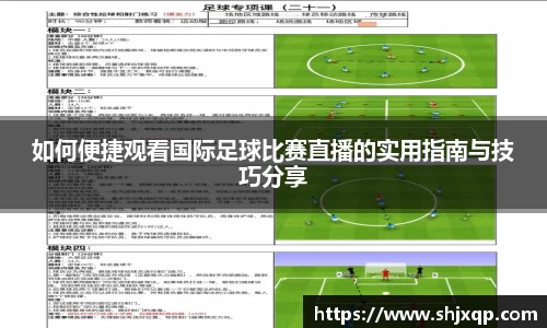 如何便捷观看国际足球比赛直播的实用指南与技巧分享